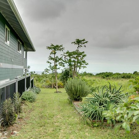 The Aloha Green House Retreat With Ocean Views! Naalehu Kültér fotó