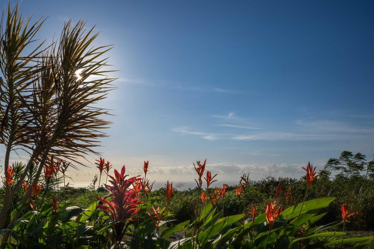 The Aloha Green House Retreat With Ocean Views! Naalehu Kültér fotó